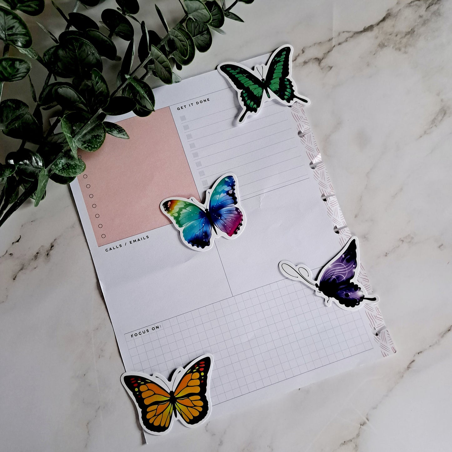 Vinyl Butterfly Sticker Pack