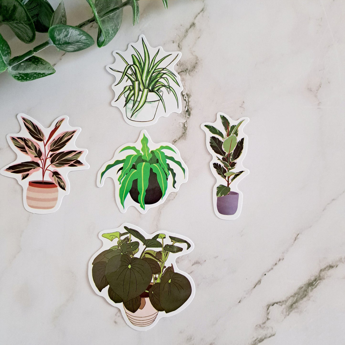 Waterproof Houseplant Sticker Pack