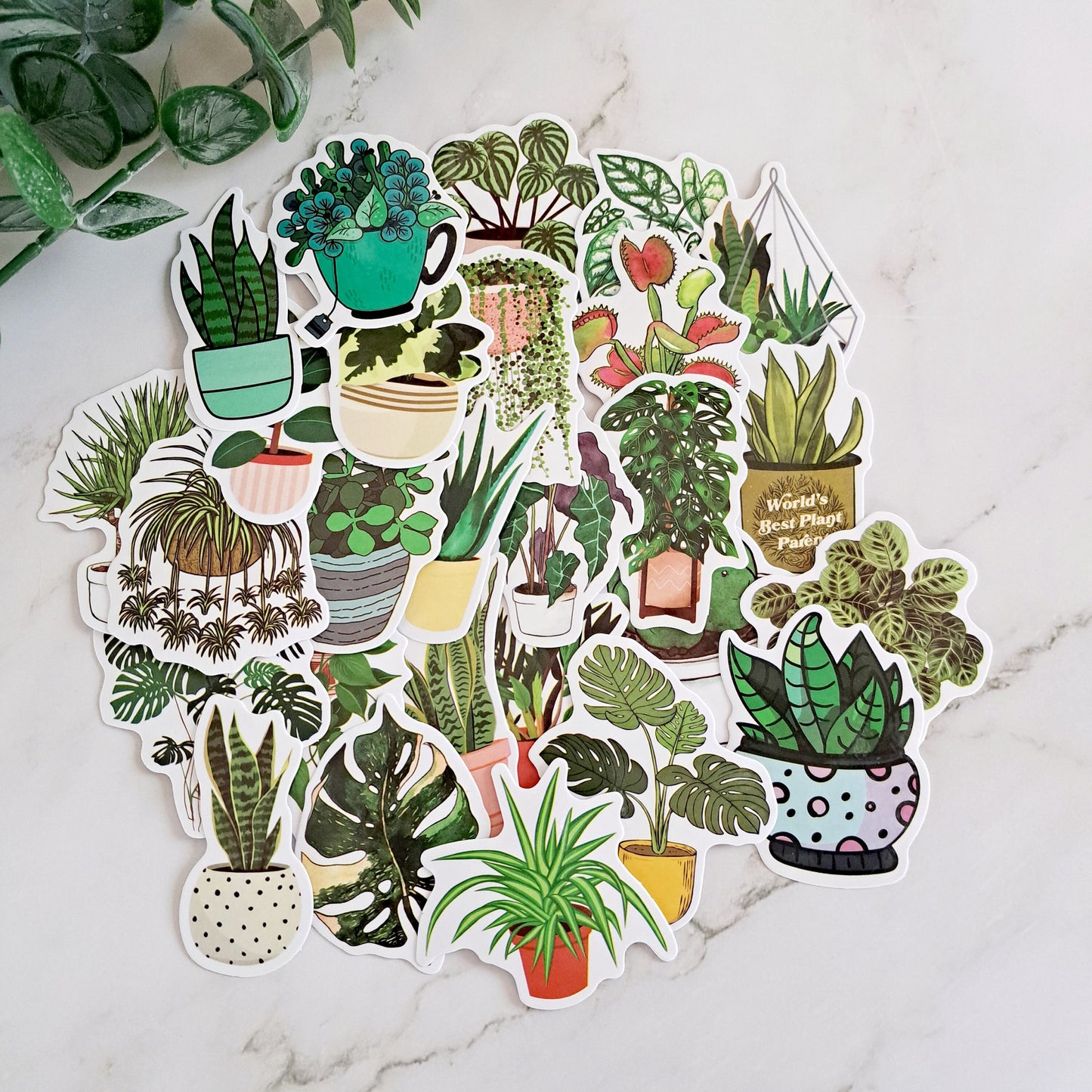 Waterproof Houseplant Sticker Pack