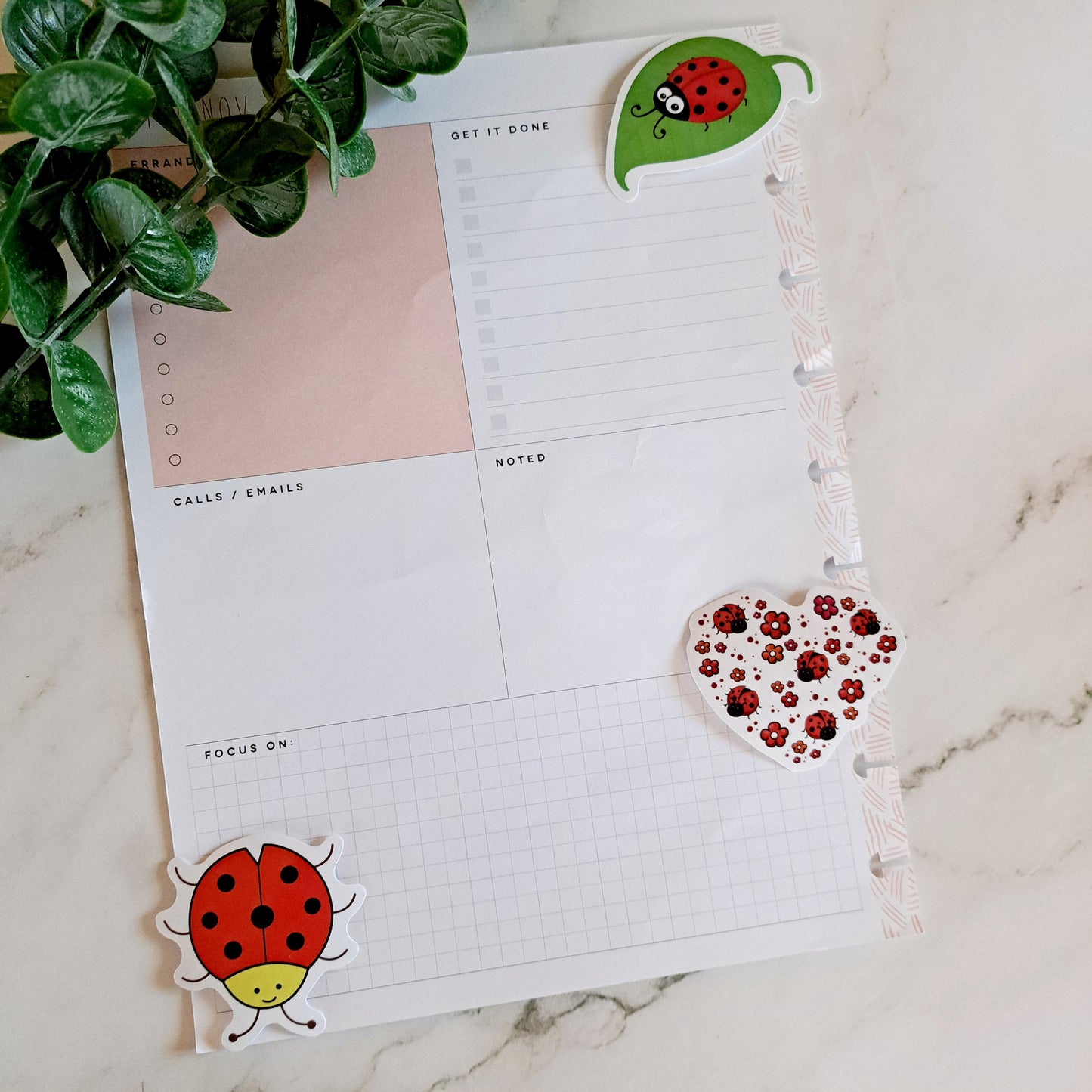 Vinyl Ladybug Sticker Pack