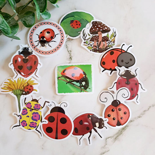 Vinyl Ladybug Sticker Pack